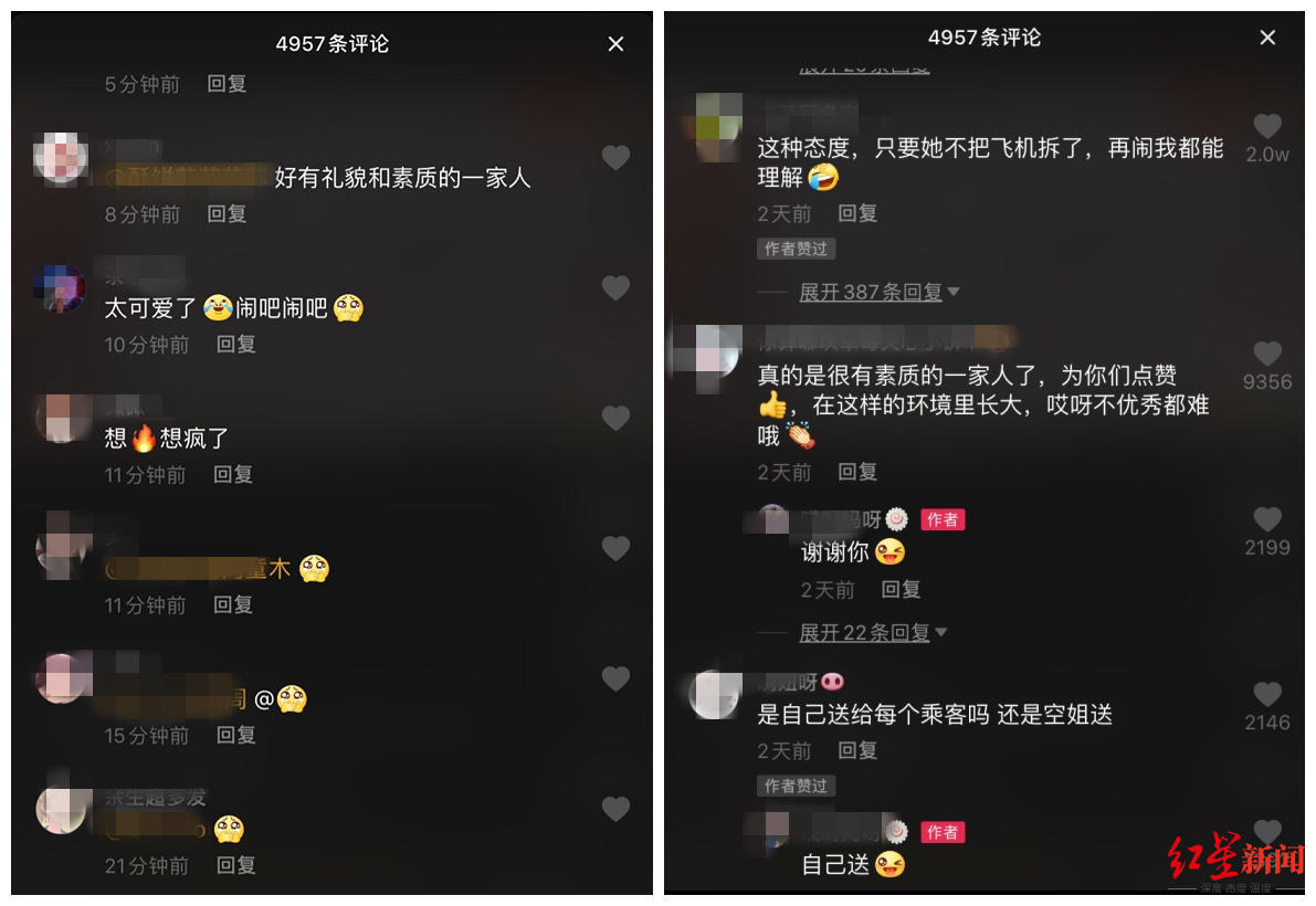 ↑网友评论