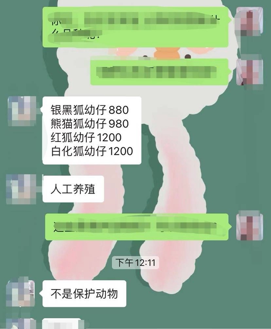 网购平台宠物商家回复