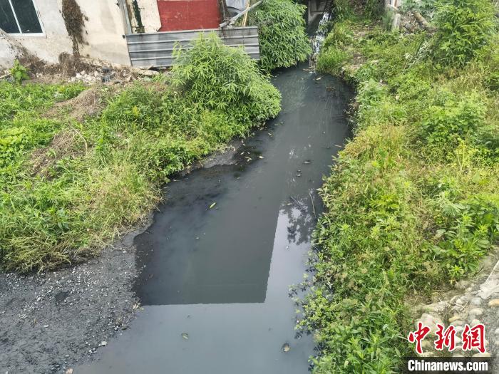 成都市新都區柏水河中河水體發黑渾濁。四川省生態環境廳供圖