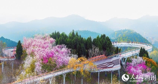 龙泉山森林公园桃花盛开。嘉楠摄