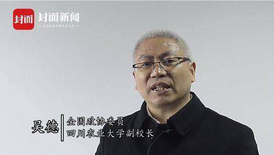 调研: