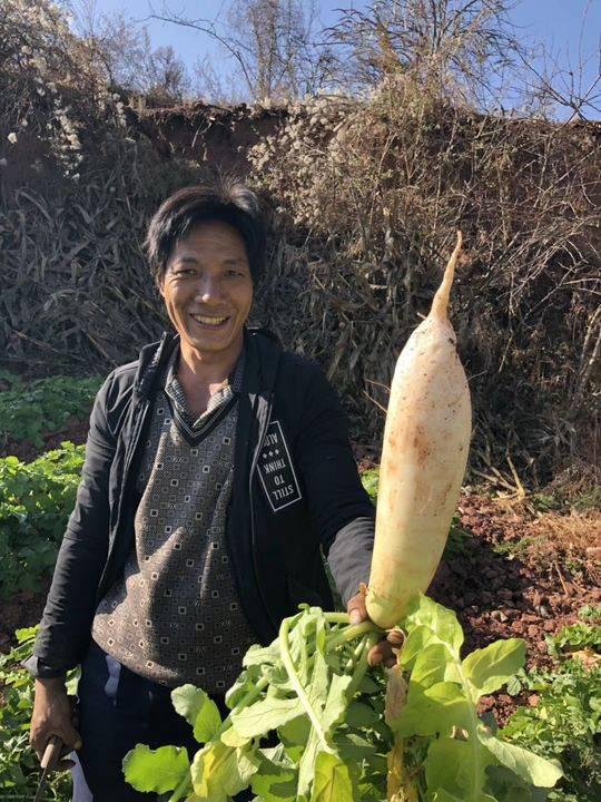种植:蔬菜种植对当地而言意义非凡