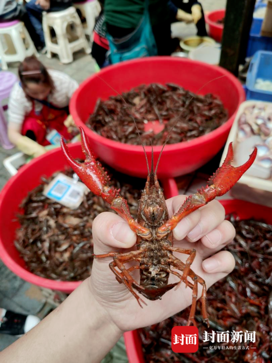 生意火爆: