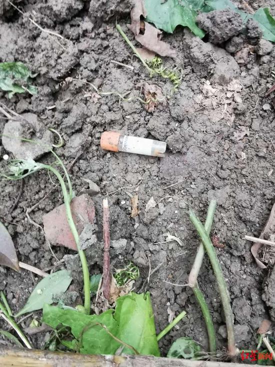 绿化带内的医疗废弃物