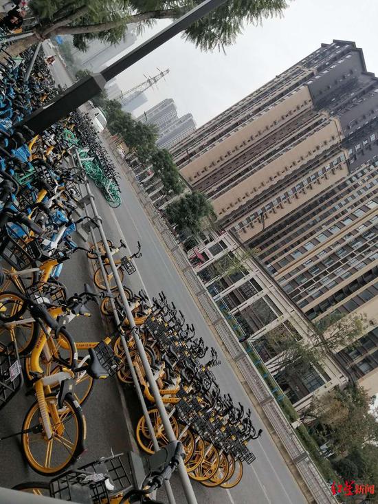 共享單車停在公交車道上