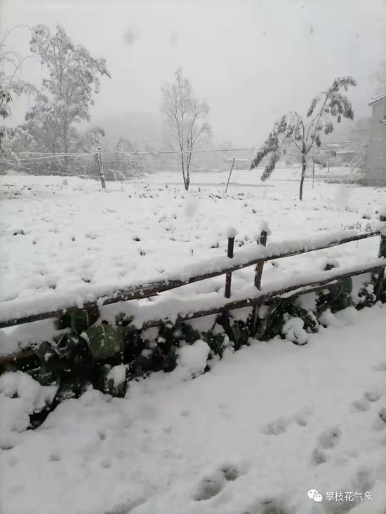 攀枝花雪景 图据攀枝花气象