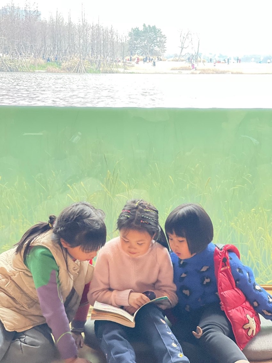 兴隆湖湖畔书店,孩子们正在专注阅读。天府新区融媒体中心供图
