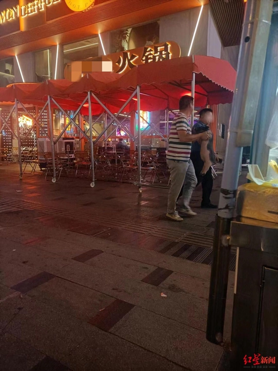 ▲兩頭小豬被人抱走。