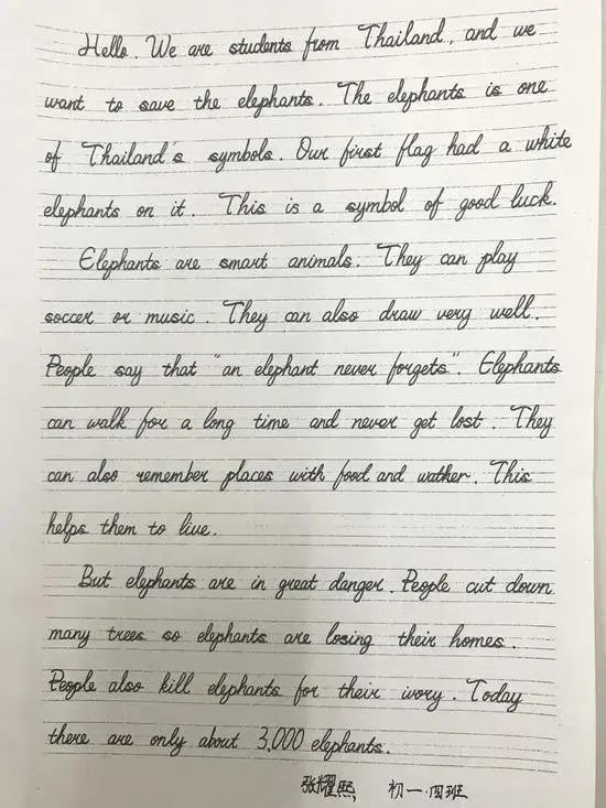 学生英文书写比赛作品