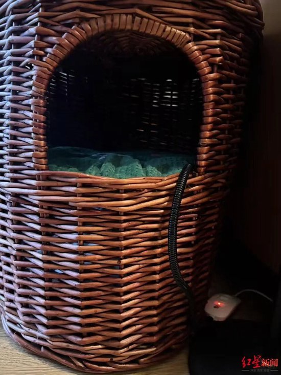 洪女士为家中的宠物猫购置的宠物电热毯