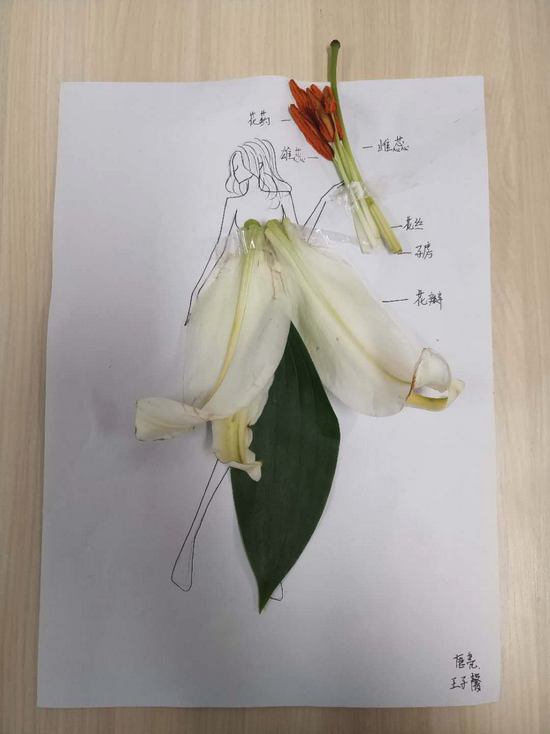 学生生物课作品