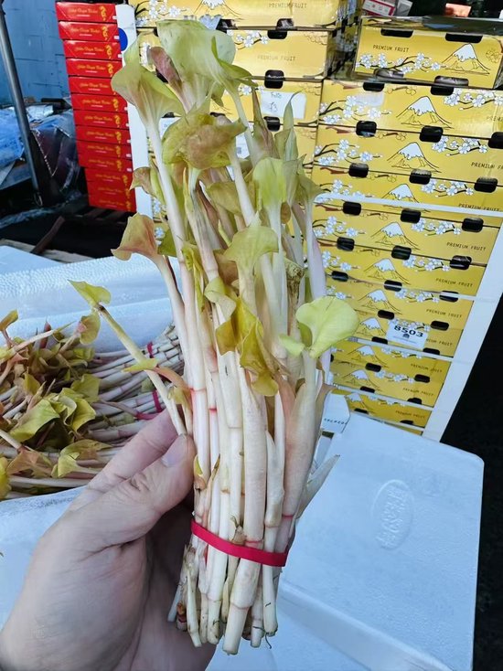 ▲当地时间2月10日下午，产自成都的折耳根在加拿大温哥华顺利通关 受访者供