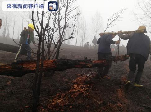 央视新闻客户端 图