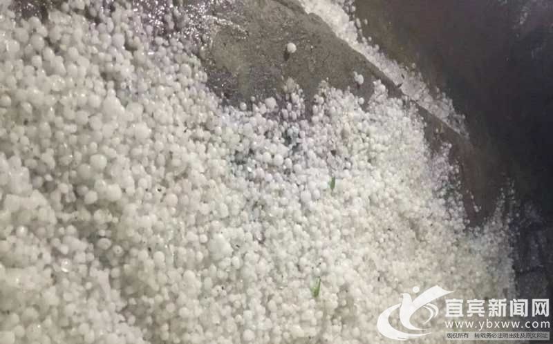 部分地方出現冰雹天氣。(市氣象臺 供圖)