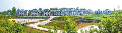 沿滩区瓦市镇合星新村。