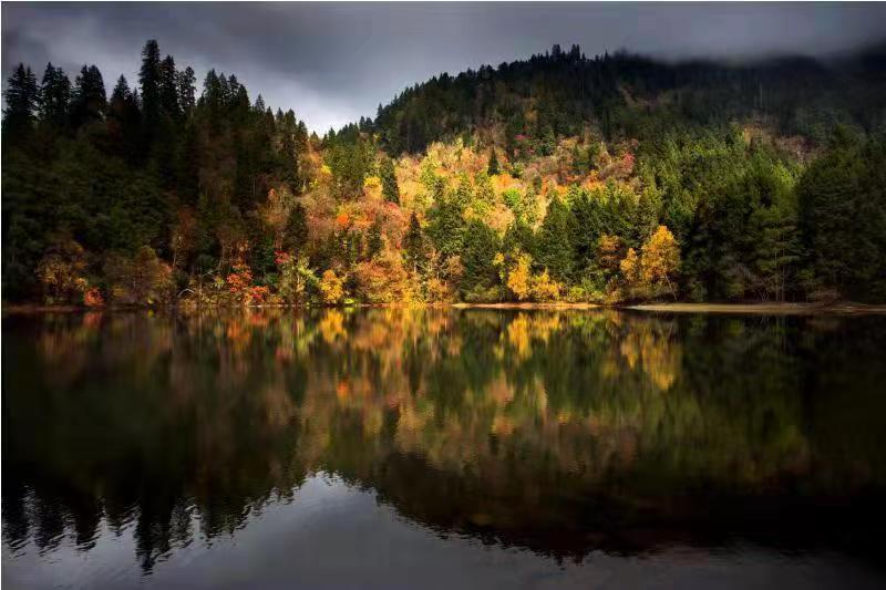 九寨沟县2020GDP_九寨沟县地图(2)