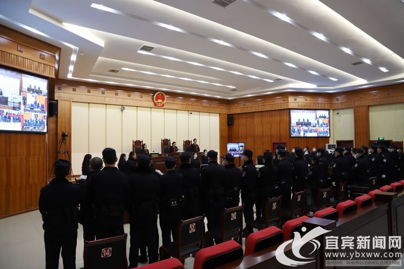 15名被告均獲刑。
