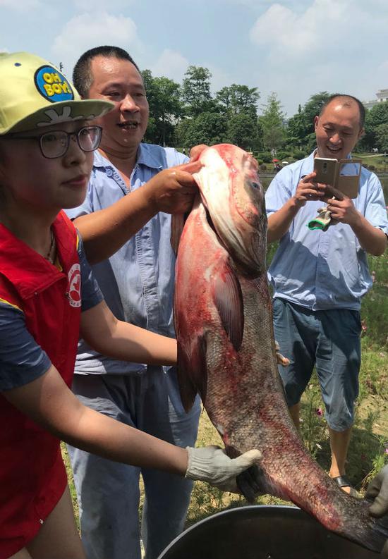 刚出水的大鱼