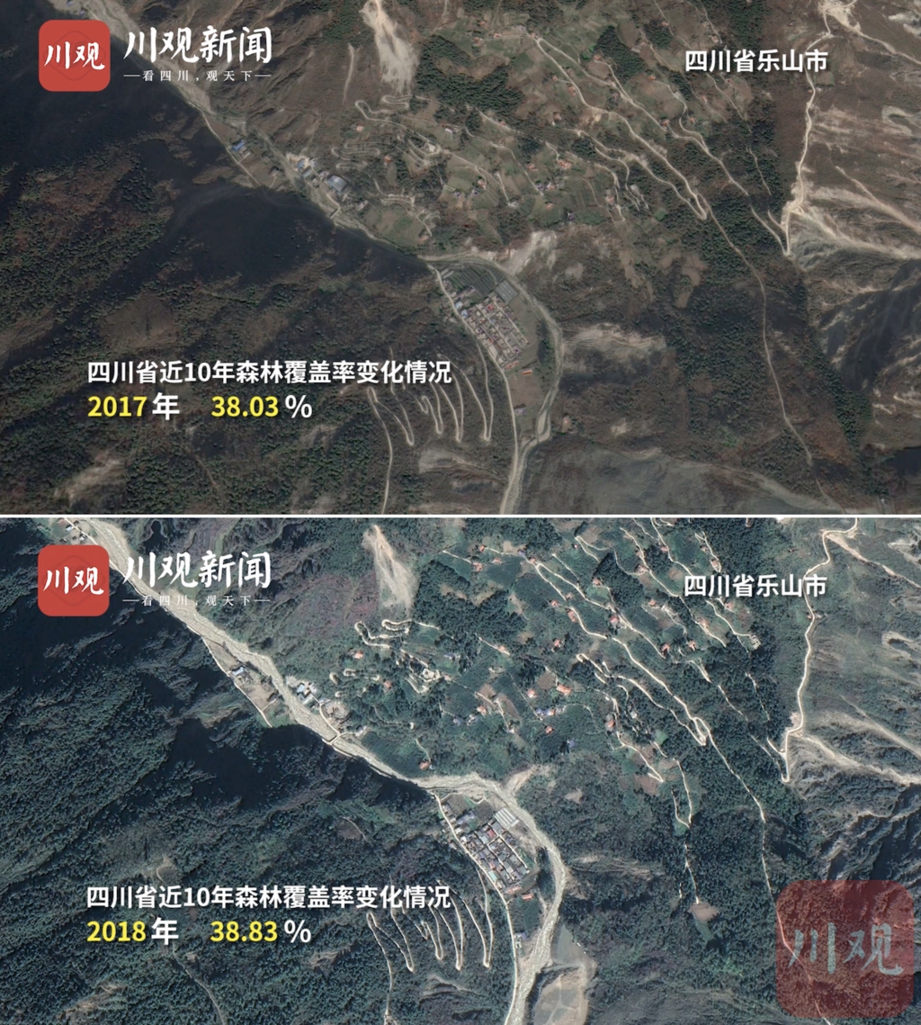 四川省樂山市植樹造林前后對比圖