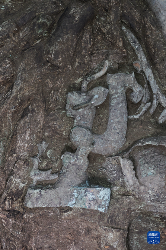 三星堆8号“祭祀坑”新发现的虎头龙身青铜像。（赵昊摄）