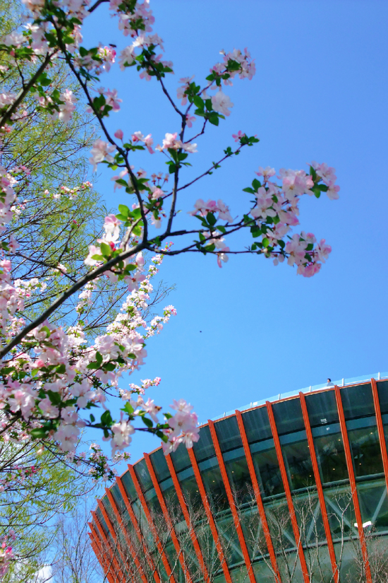 ▲ 图据成都市龙泉山丹景台旅游景区