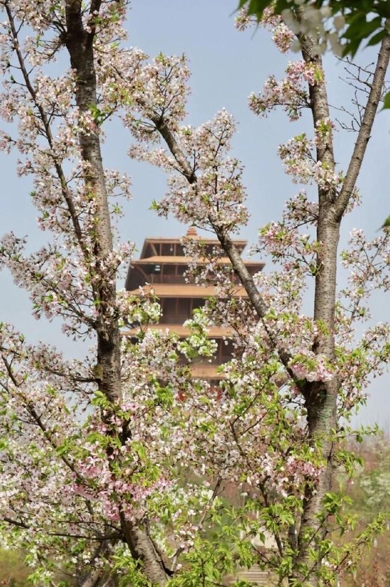 ▲ 图据成都市龙泉山丹景台旅游景区