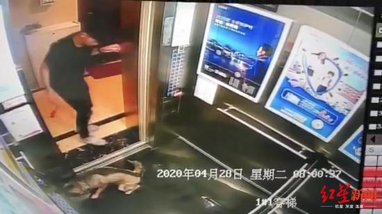 　↑监控视频拍到男子把狗遗弃在电梯内