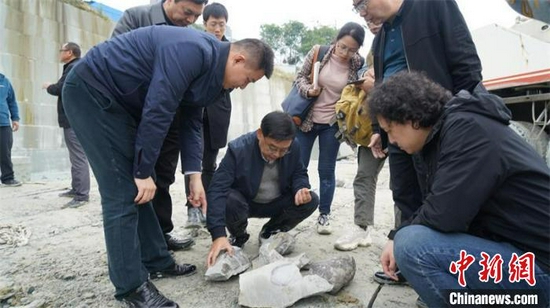 古生物化石专家现场分析恐龙化石结构。　隆昌市委宣传部供图