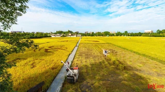 敏感肌换季修护指南 有效舒缓泛红刺痛护肤品推荐