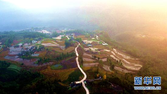 在冬日暖阳下波光粼粼的四峨山梯田