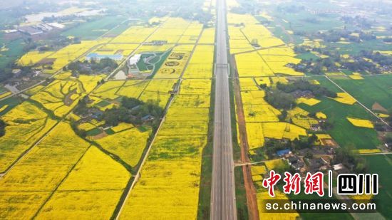 成都乡村精美的大地景观。钟欣 摄