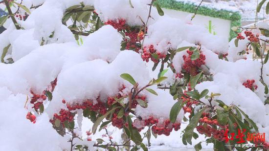 　↑九寨沟雪景羞煞春天