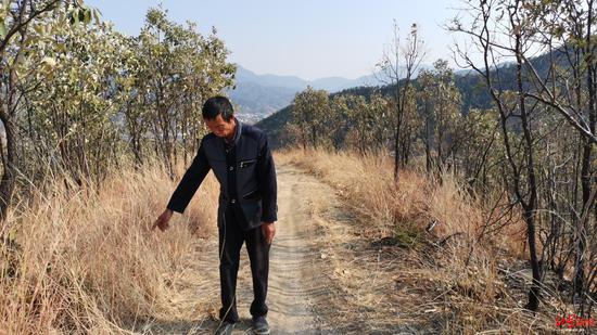 ↑何元能說,道路兩旁大多是壓草