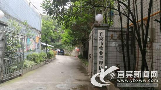 宜宾市物业管理协会将推动小区建立文明养狗公约。(宜宾新闻网 何东 摄)