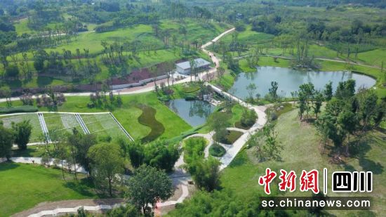 项目实景图。