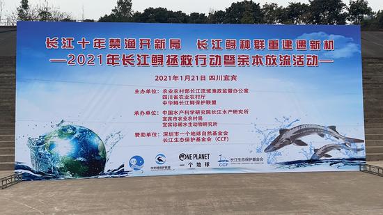 活动现场    来源：中国水产科学研究院长江水产研究所