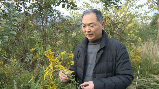 專家進行辨認
