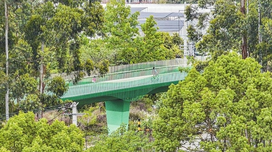 石庭桥采用渐变绿色装饰，掩映在成都环城生态公园的树林里。