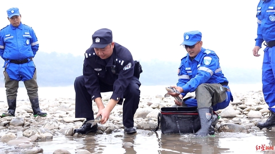 ↑获救长江鲟被放生 警方供图
