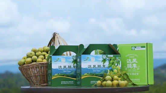 品牌打造