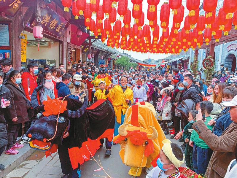 2月15日正月初四,成都市龙泉驿区洛带古镇上举行的牛儿灯传统文化展示,生动的表演给牛年新春增添了不少喜庆。