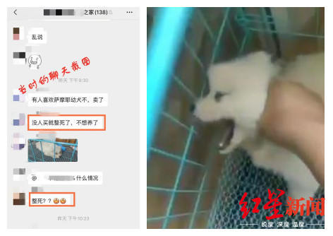 ↑小狗被“虐”图据公号文章