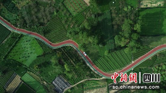 图为四川省农村公路。(四川省交通运输厅供图)