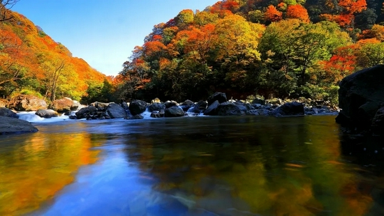 光雾山。景区供图