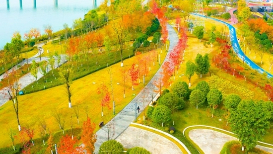 今年开园的河东新区五彩缤纷北路城市公园，海绵城市理念蕴于其中。廖锦辉 摄