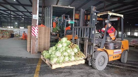 浦东新区浦商曹路保供大仓，工作人员正进行蔬菜分装。