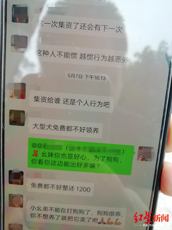 ↑宠友群关于“凑钱救犬”的聊天记录