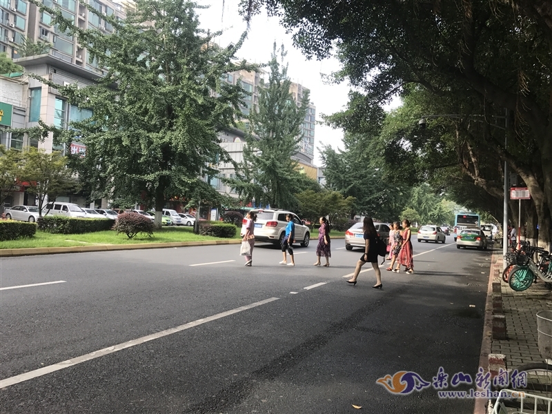 乐山中心城区有多少人口_四川乐山大佛高多少米(3)