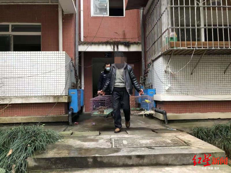 ↑鄭某養(yǎng)殖的鳥(niǎo)類(lèi)野生動(dòng)物被沒(méi)收