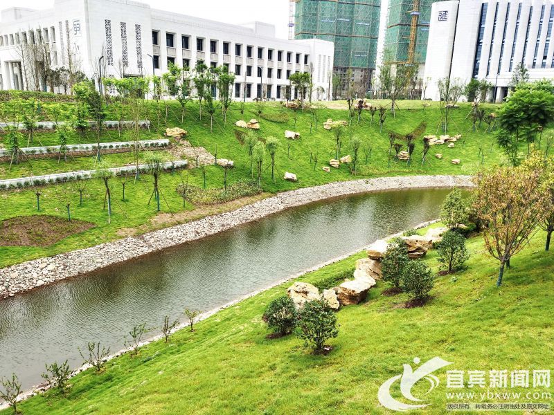 河道在校园内穿流而过。(宜宾新闻网 曾理 摄)